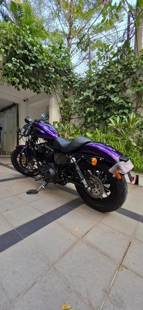 FOR SALE Harley Davidson Sporster Iron 883 2014 FP