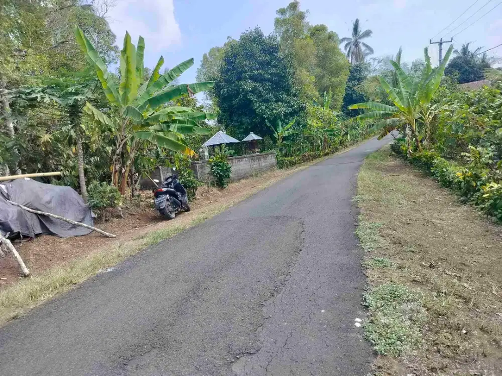 jual tanah murah.lokasi di desa lumbung selemadeg barat luas 1,5 hektar harga 25 jt/ are