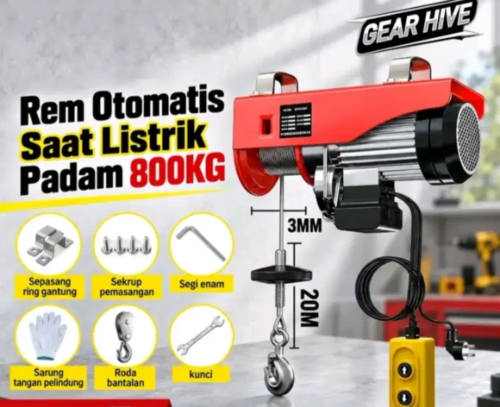 Hoist electrical