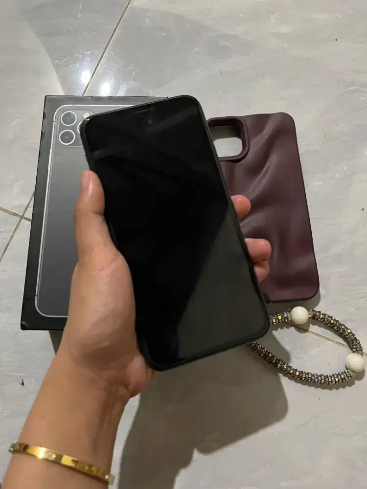 Iphone 11 pro max mulus