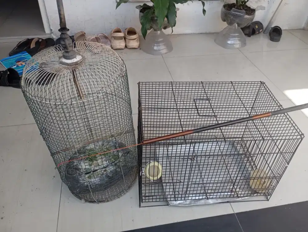 Sangkar burung & pancing
