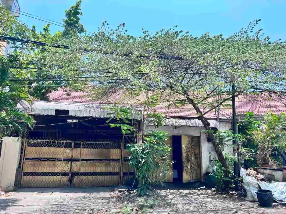 Dijual Rumah Pusat Kota Surabaya Area Genteng Kusuma Bangsa Jalan Ketupa