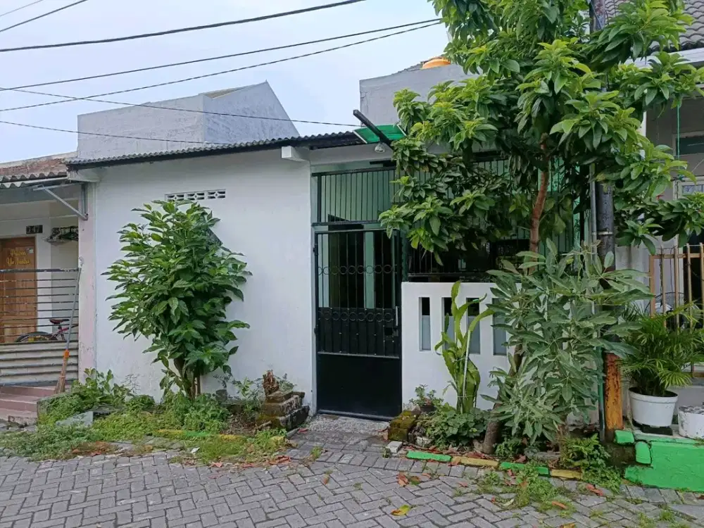 Taman Gunung Anyar