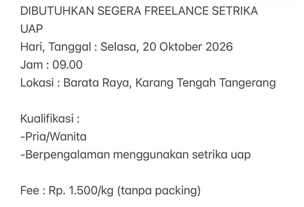 FREELANCE LAUNDRY SETRIKA UAP