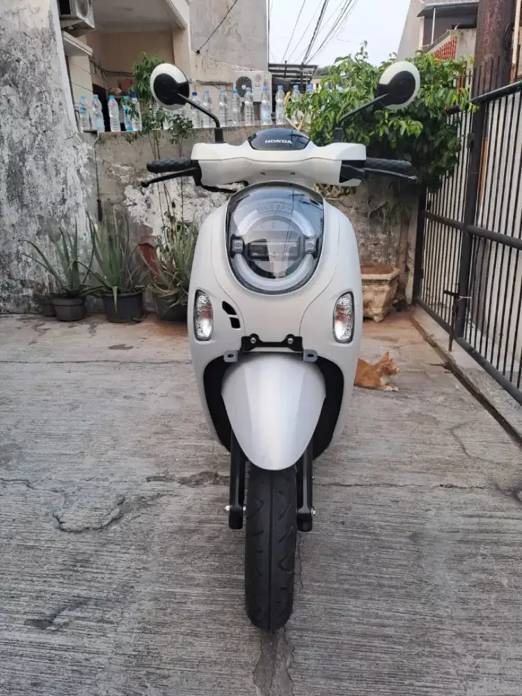 HONDA SCOOPY PRESTIGE 2026