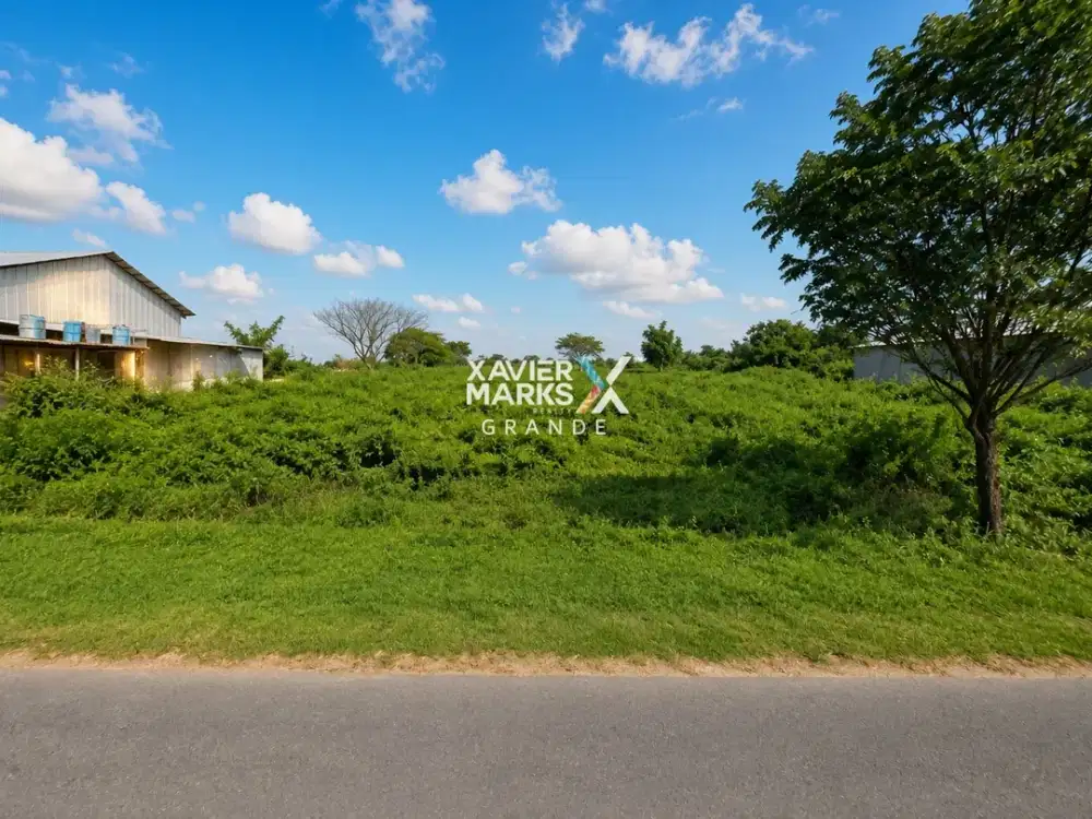 Dijual Tanah di Tuban