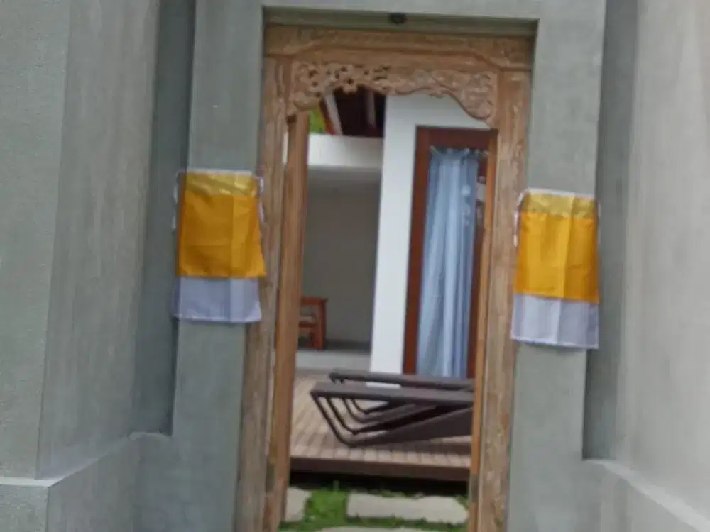 Villa Baru Full Furnished View Hutan 1 Kamar Kelusa Payangan Ubud