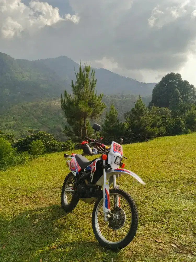 Viar cross x 200gt