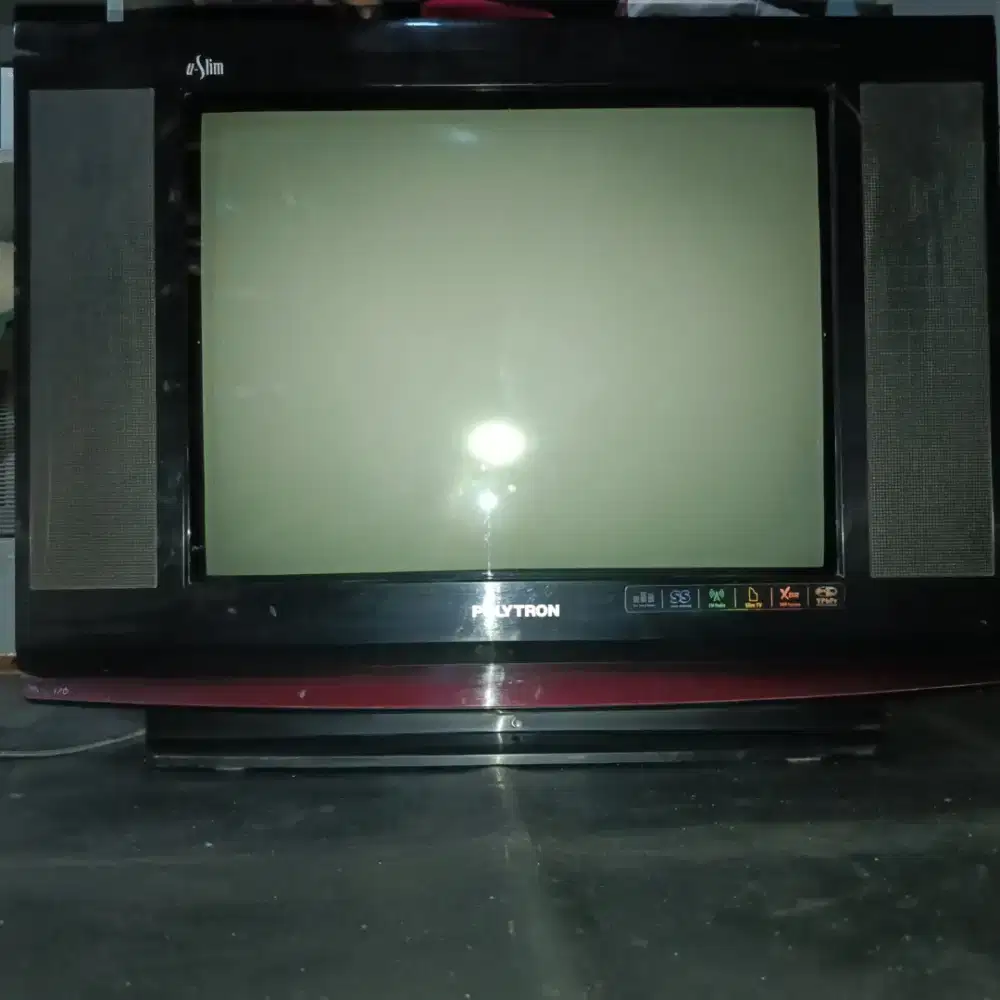 TV POLYTRON XBR 21 INS