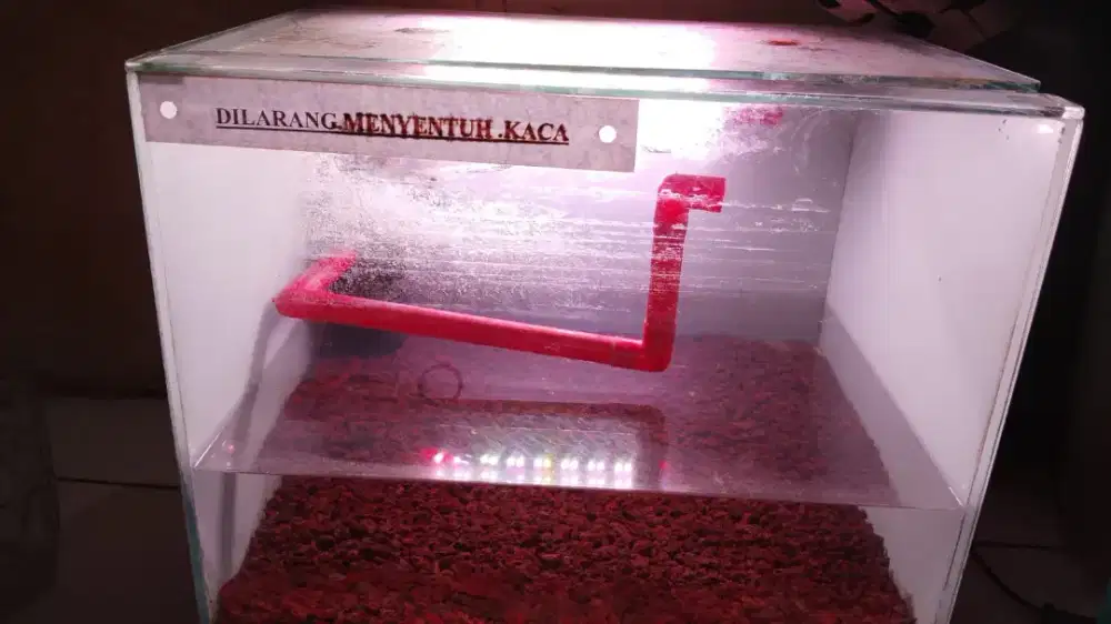 aquarium kaca+peralatan lengkap