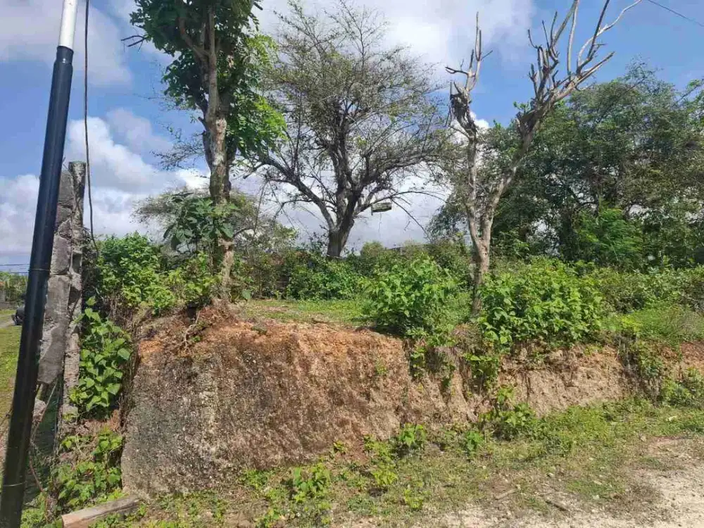 dijual tanah 820 m² IDR 400 juta per are  kawasan pantai pandawa kutuh badung bali