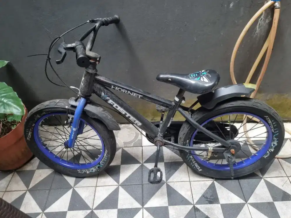 Dijual Cepat Sepeda Anak Roda 2