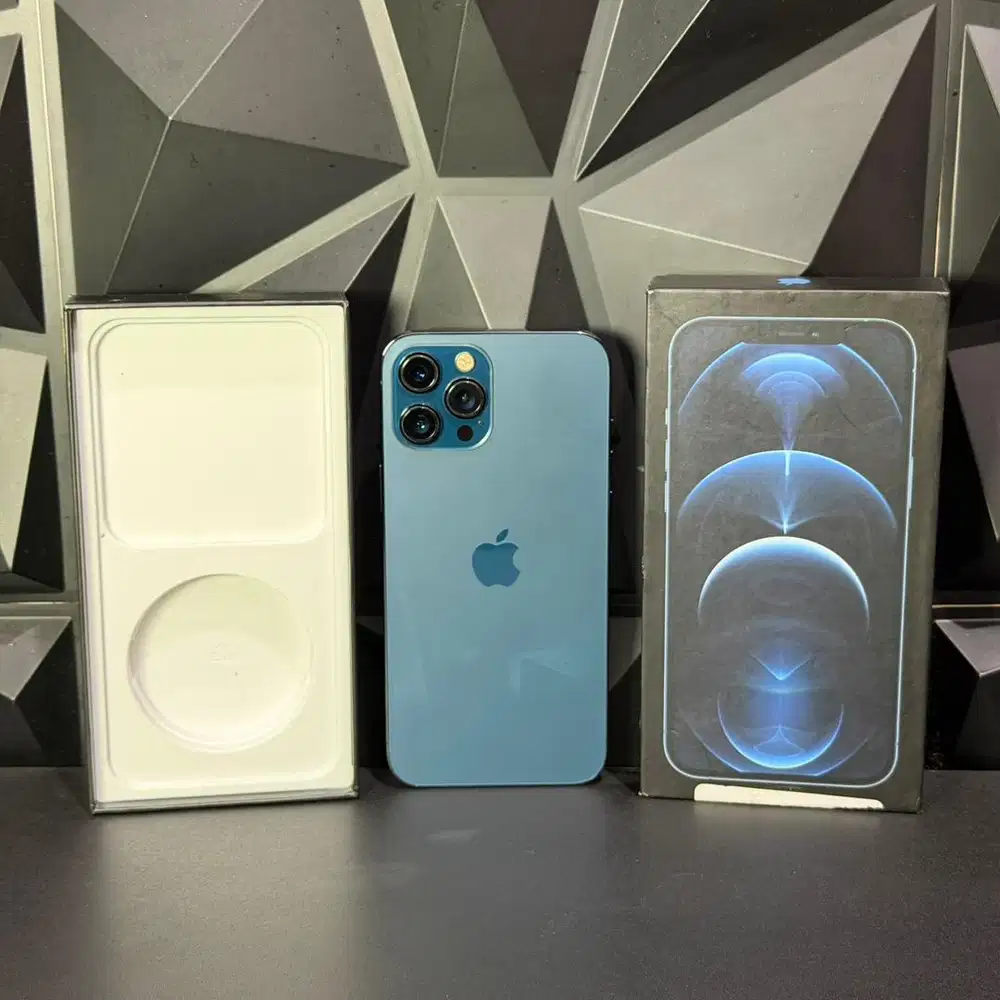 iphone 12 promax 256 blue