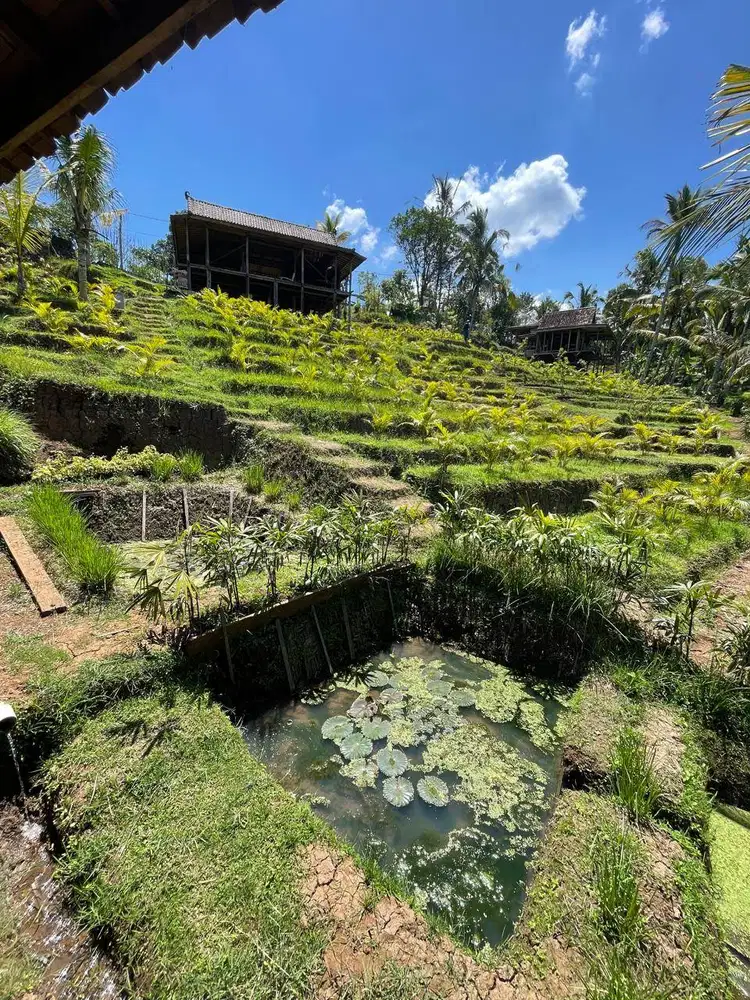 Resort butik Bali - Penebel | Tanah SHM 20 are + 3 cottage kayu + NIB