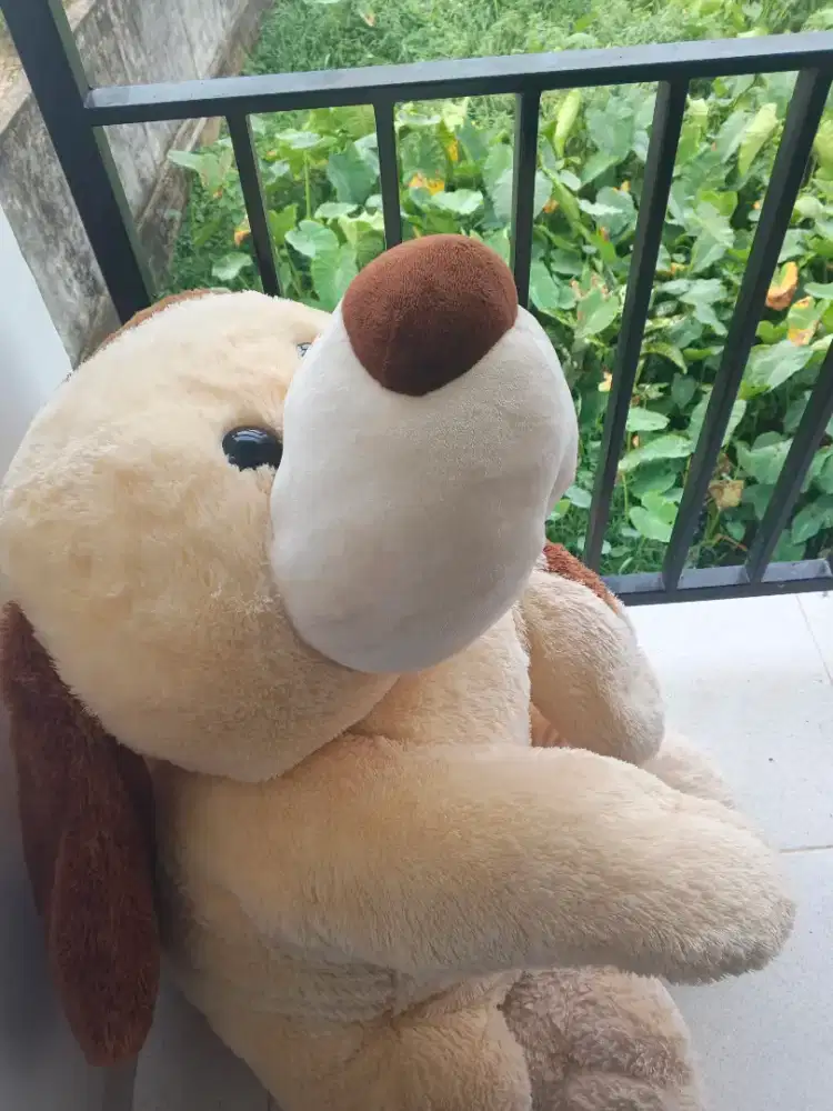 BONEKA GRATIS !!