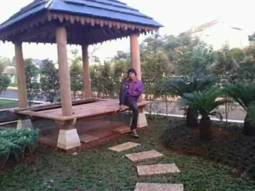 Rumput gajah mini harga sudah termasuk ongkir dan jasa tanam 40.000/m