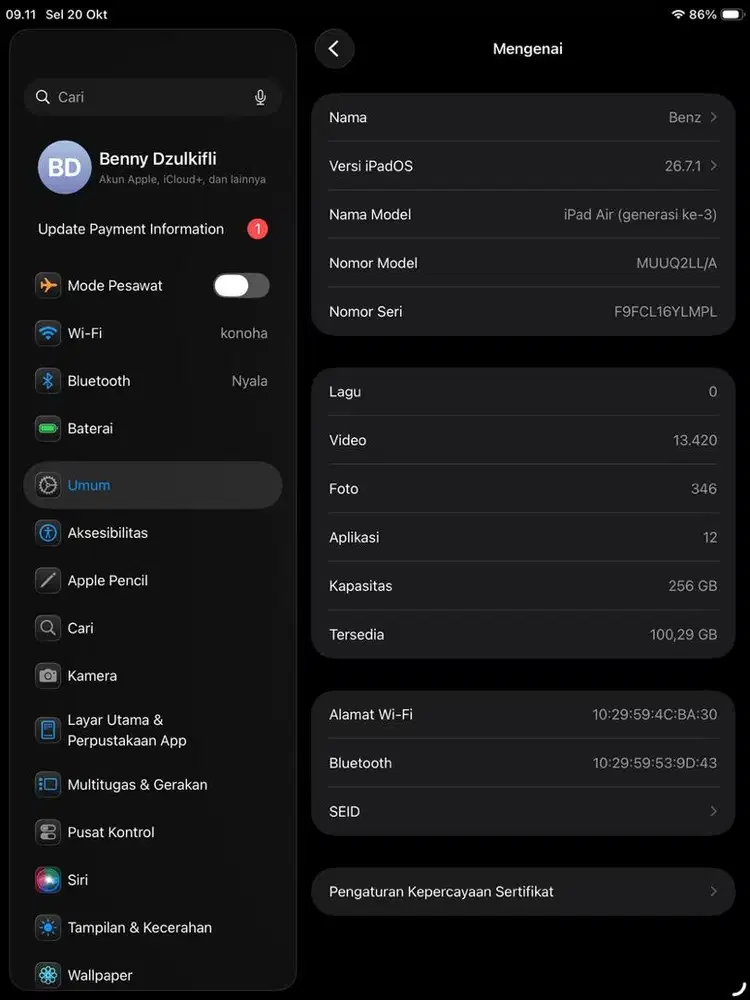 iPad Air 3 (256 GB)