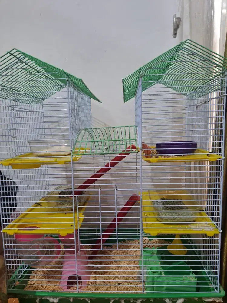 Hamster & Kandang