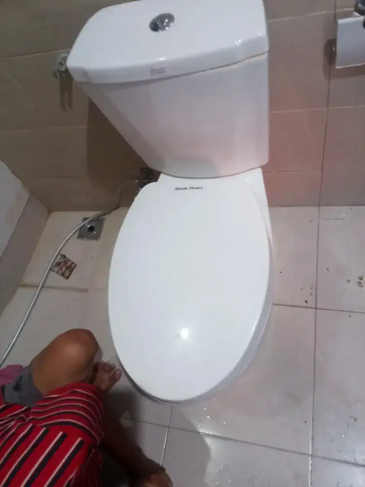 WC mampet.kuras septiteng