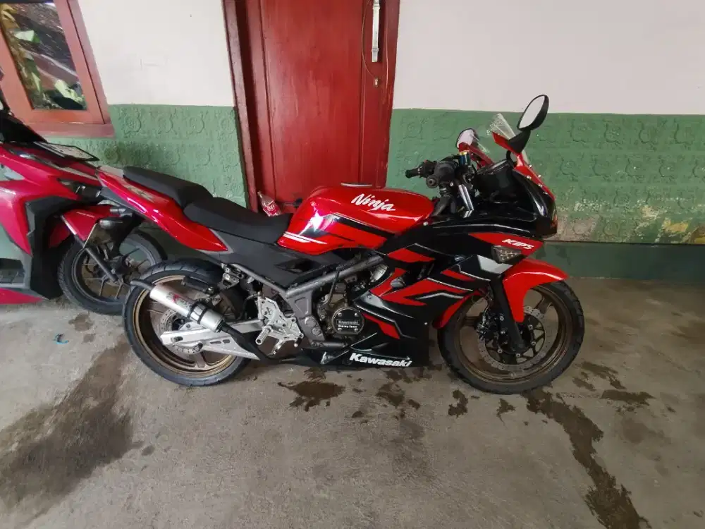 Kawasaki Ninja RR 2015