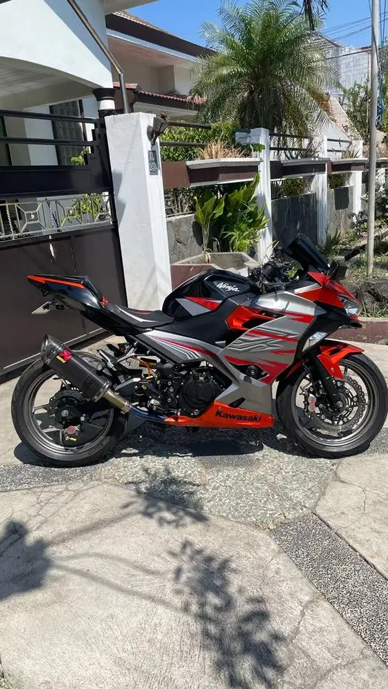 KAWASAKI NINJA 250 2018 HEDON