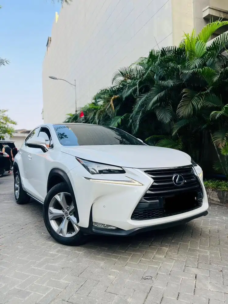 BATTRY HYBRID BARU SUPER RARE LEXUS NX300H IRIT HANYA 5 UNIT DI INDO