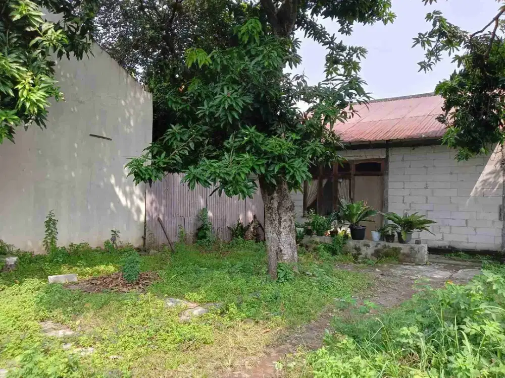 Tanah Luas Nyaman untuk Hunian Prospek Untuk Kos Eksklusif