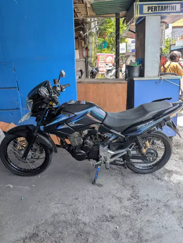 Tiger Pece mulus