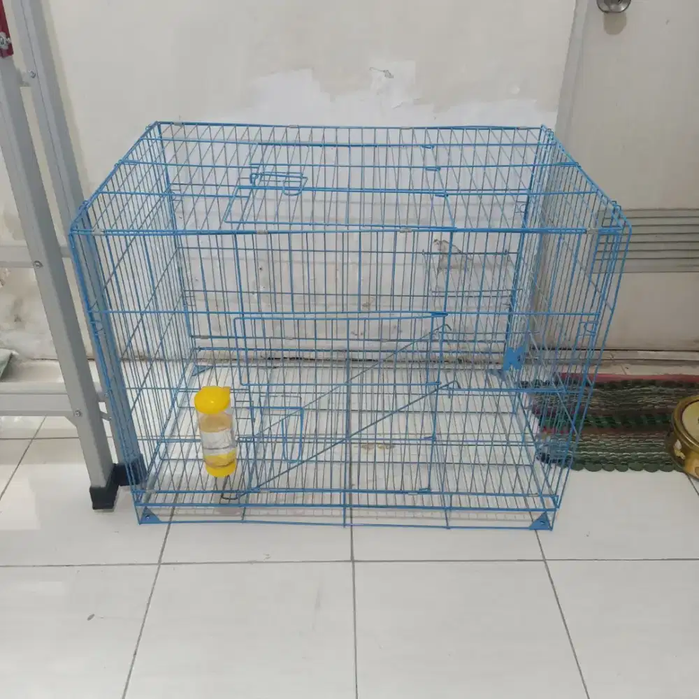 Kandang kucing baru seminggu pakai