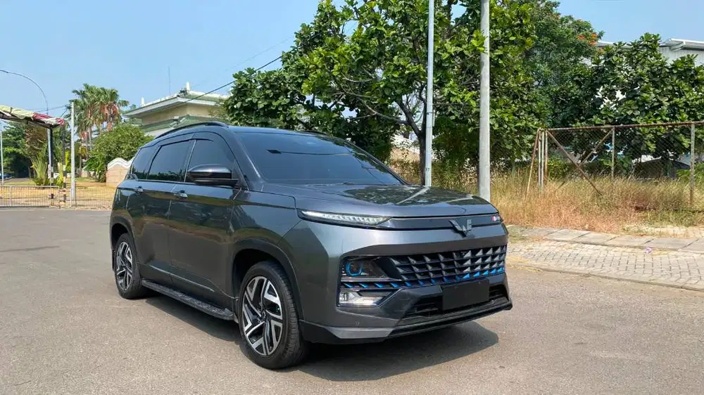 Almaz HYBRID 2024