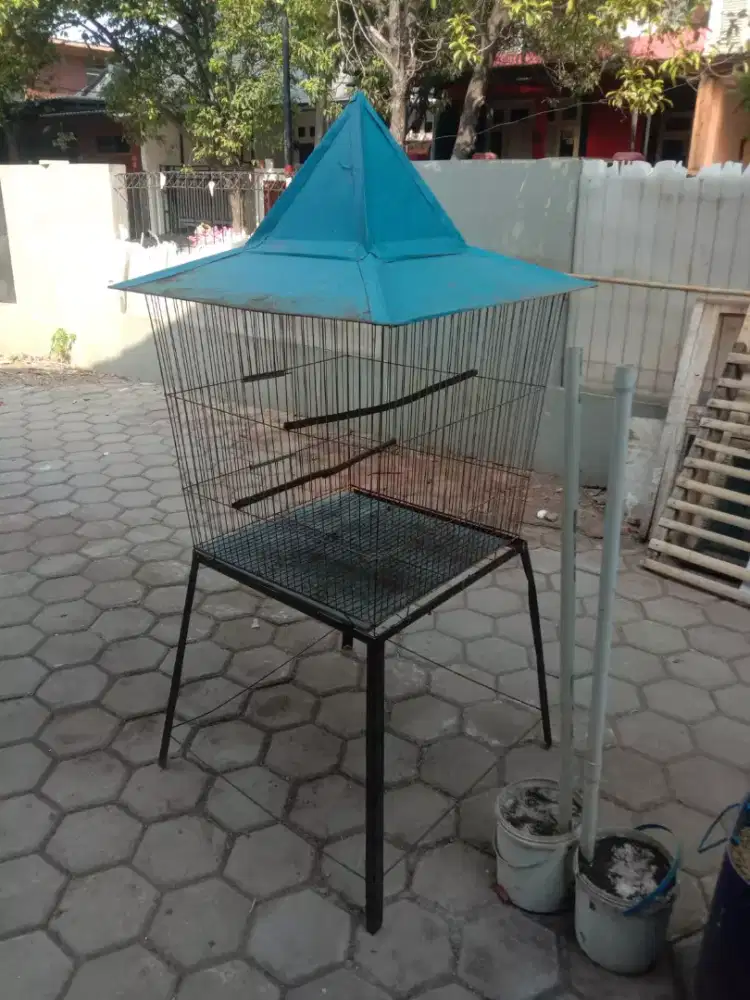 Kandang burung beo
