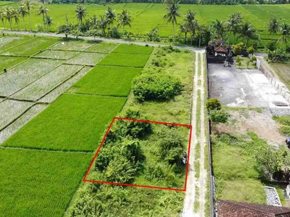 Tanah view sawah buwit tabanan bali