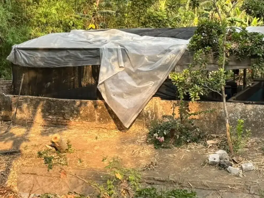 Jual Tanah Pekarangan Tanon papar kec kediri  Radi sekoto