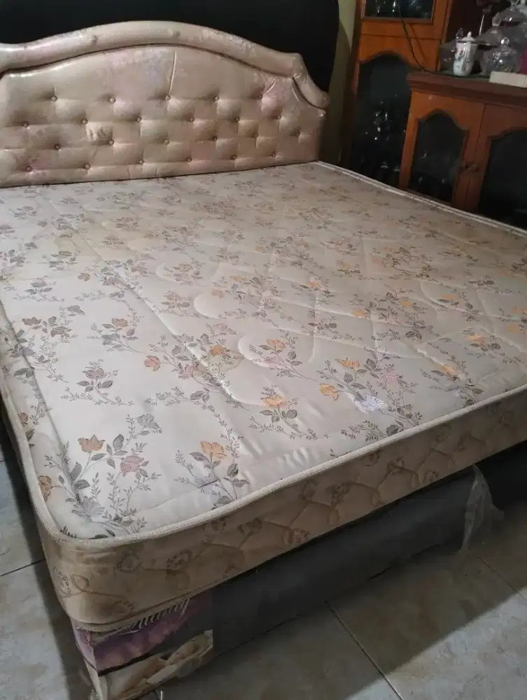 set Spring bed alga 6 kaki
