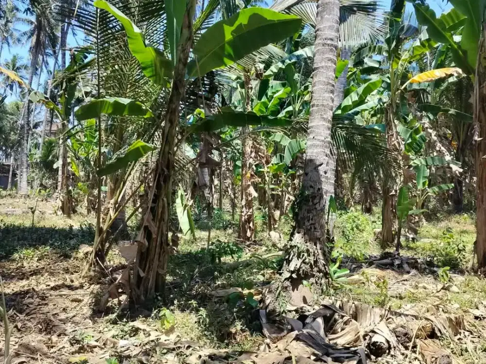Disewakan Tanah Kavling Lokasi Strategis Dekat ke Pantai  di Candidasa, Karangasem.