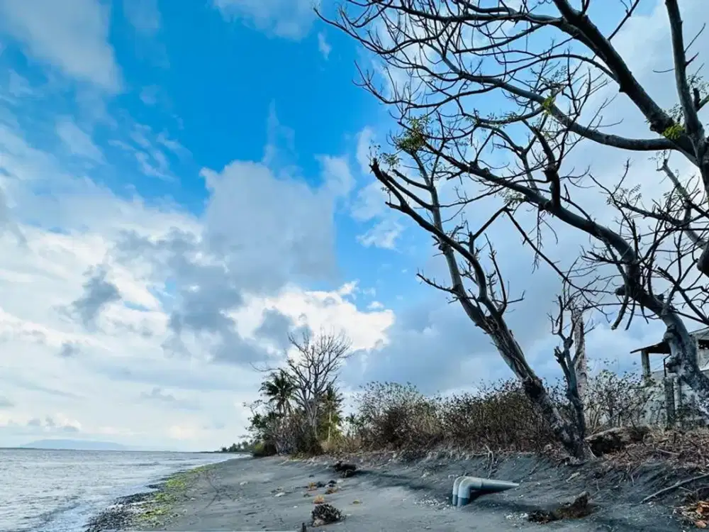 Tanah pinggir pantai Labuan Pandan Lombok Timur