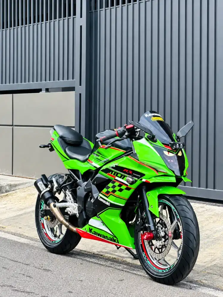 Kawasaki Ninja 250 Mono 2016