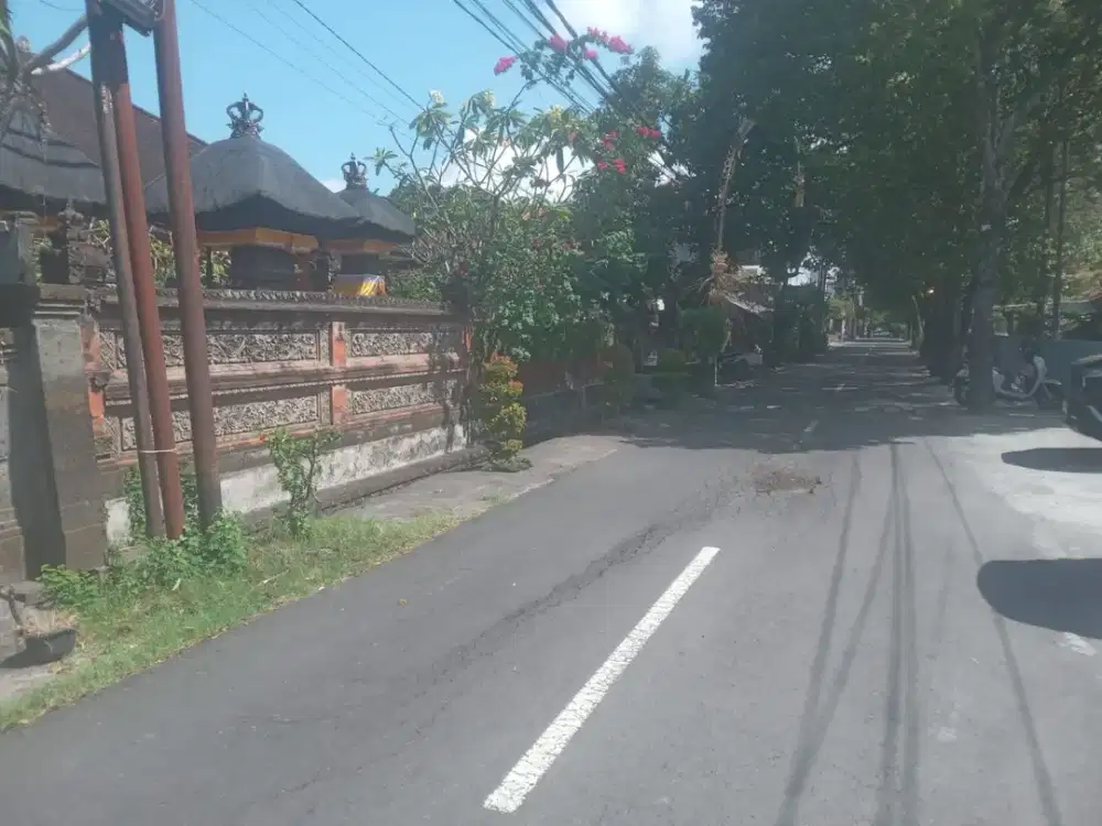 Tanah Ciung wanara renon