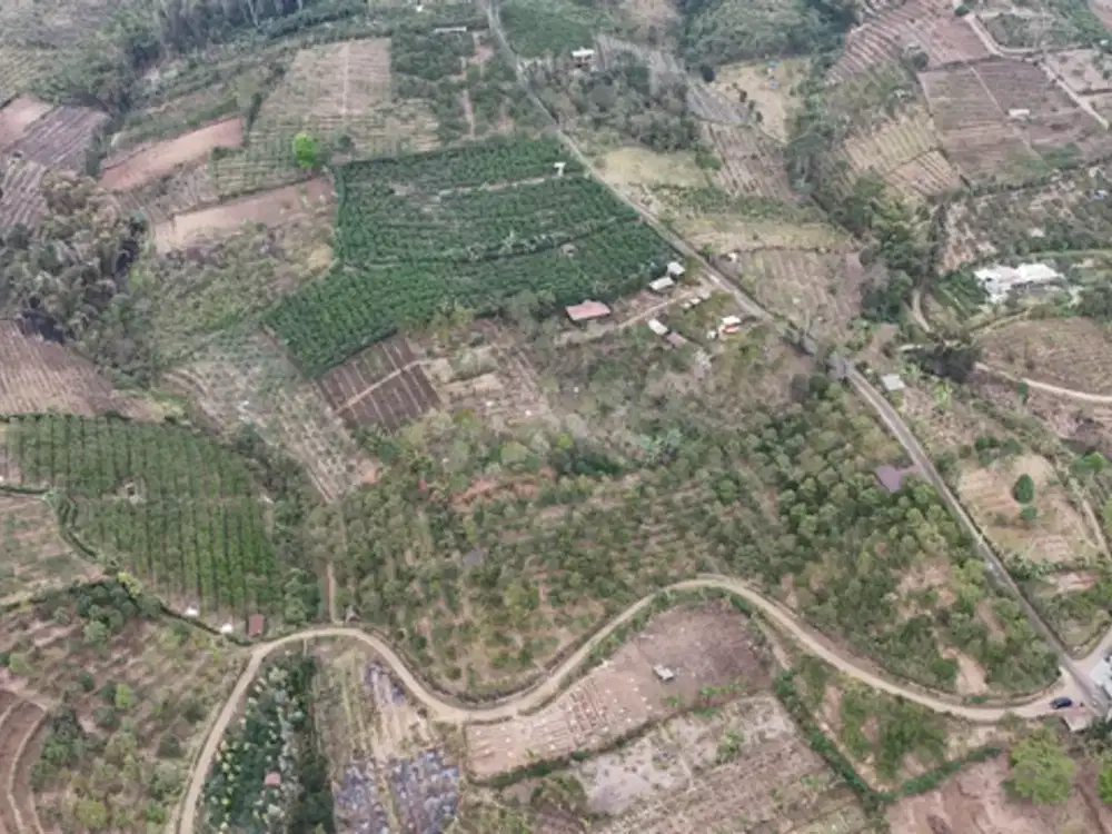 Dijual Tanah Kebun Aktif Di Desa Giripurno, Batu