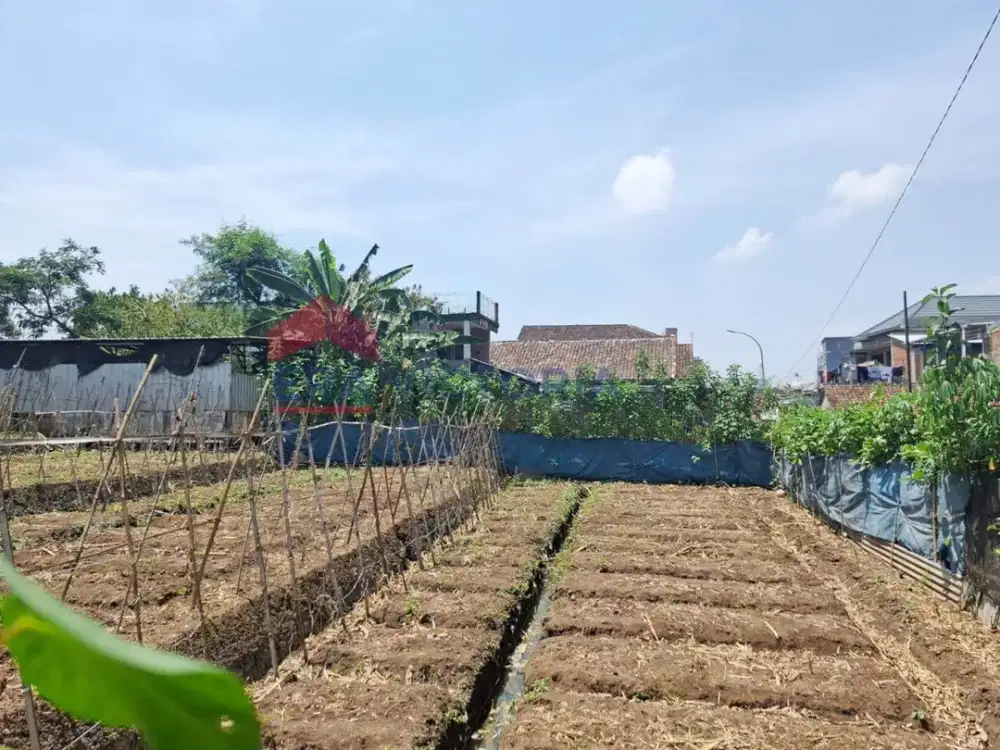 Tanah Jual Area Pendem Batu Dekat Pusdiklat Arhamud Cocok Untuk Tempat Tinggal Kebun