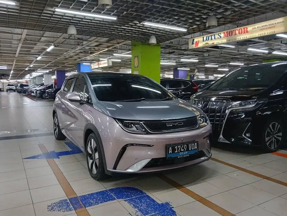BYD Dolphin premium Automatic 2024 KM low