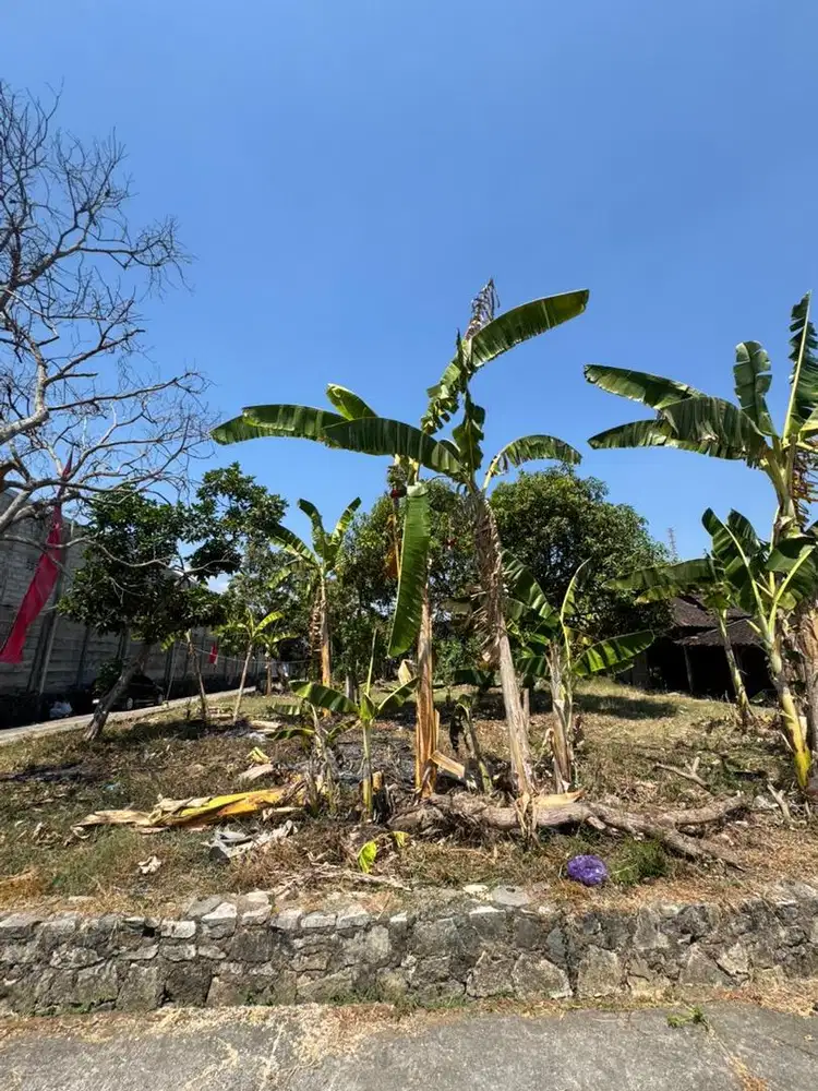 Dijual Tanah Siap Bangun Lokasi Dekat Jalan Raya Solo-Sukoharjo