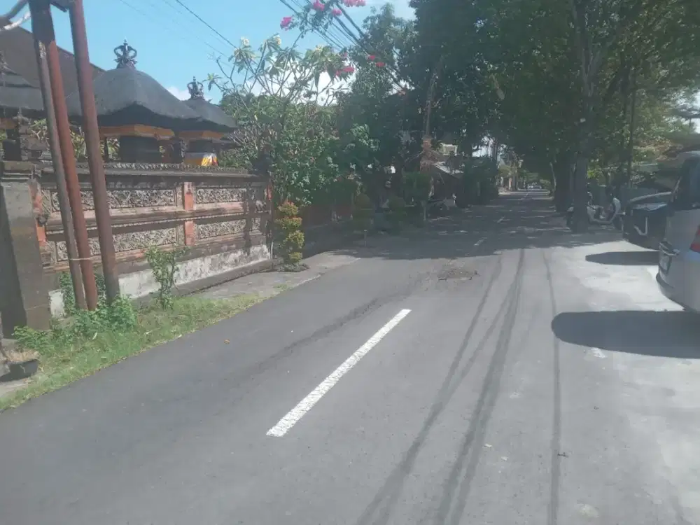 Tanah ciungwanara renon