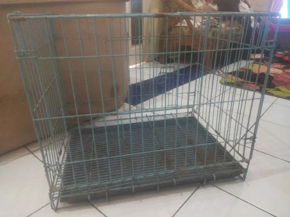 Kandang ayam dan bebek