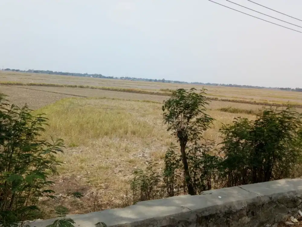 Dijual Tanah Sawah di Balaraja, Tangerang