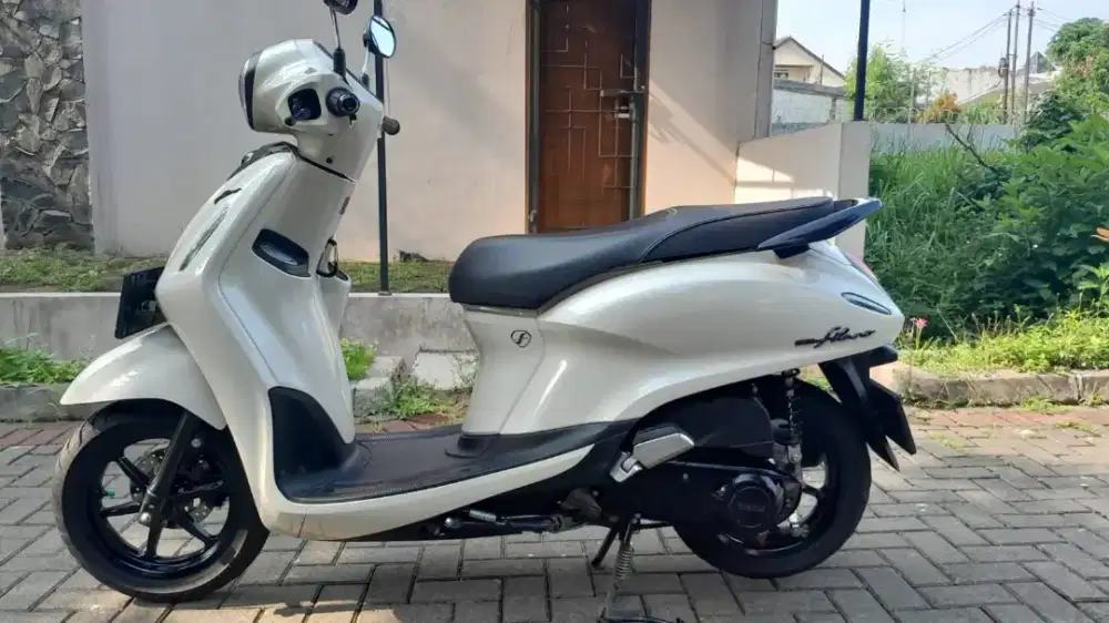 Grand Filano 2023