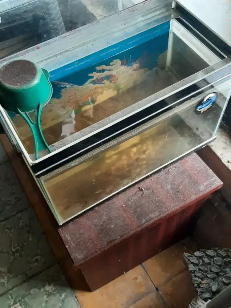 Aquarium masih utuh no minus