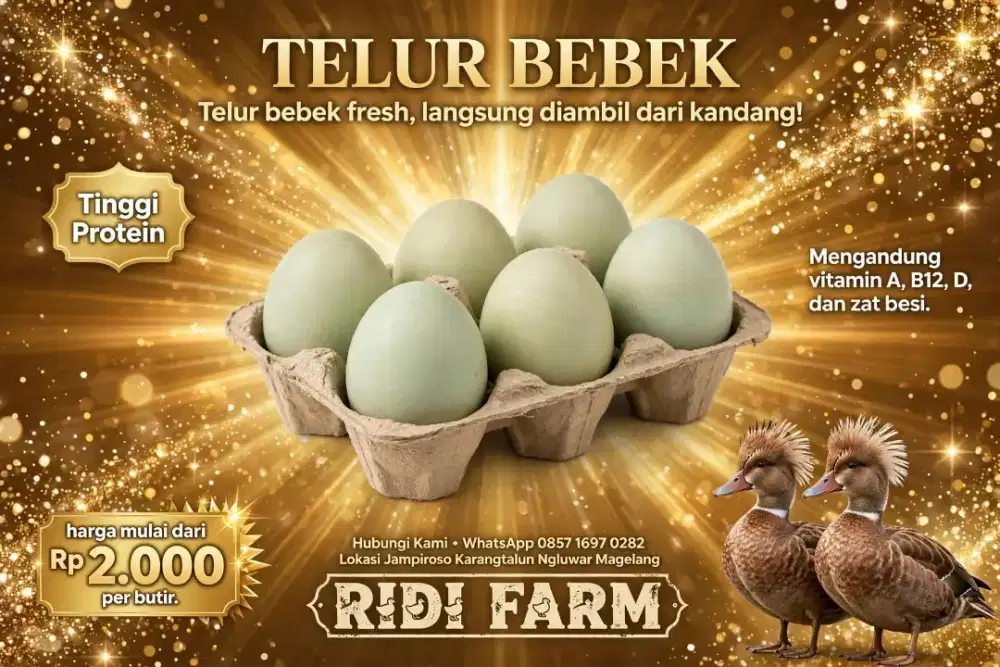 Telur Bebek Fresh Harian