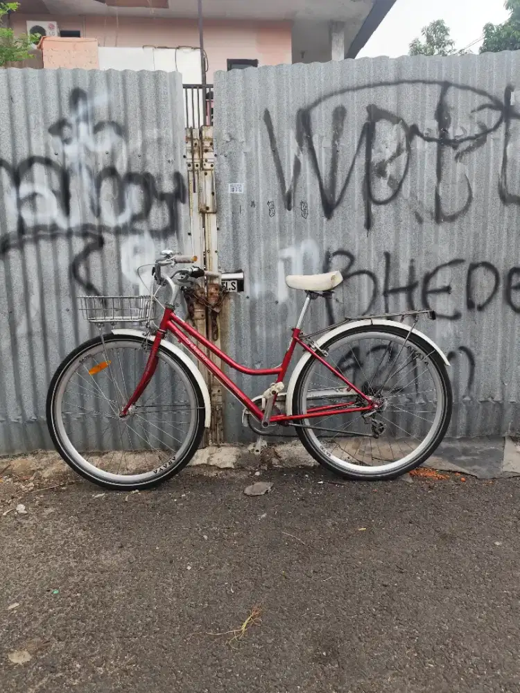 Schwinn Cream 2