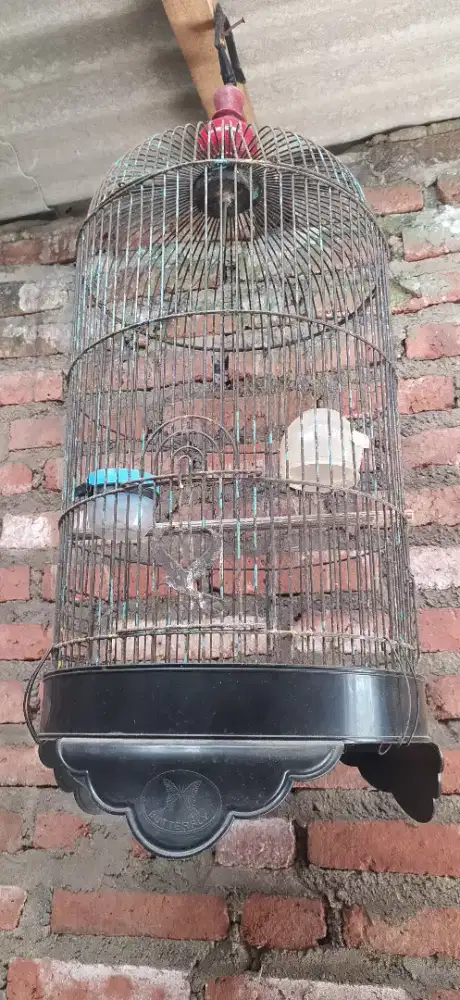 Sangkar besi panjang
